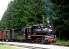 2020.08.05 JHMD U46.101 Jindřichův Hradec - Nová Bystřice (23)